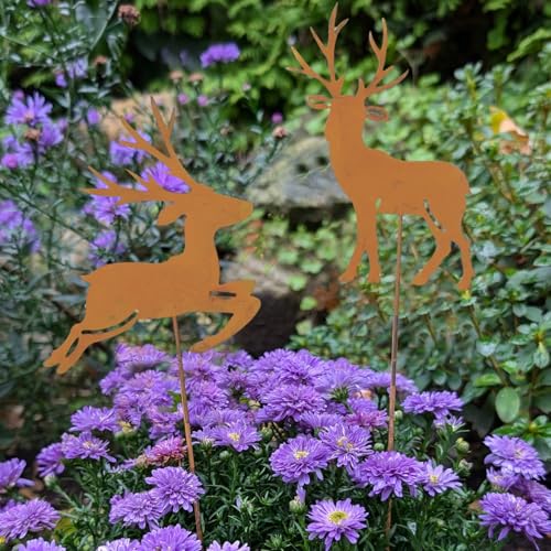 Storm's Gartenzaubereien Roststecker Hirsch Deko zum Stecken in Rostoptik 40cm 2er Set - Winterdeko Storm's Gartenzaubereien Roststecker Hirsch Deko zum Stecken in Rostoptik 40cm 2er Set - Winterdeko von Storm's Gartenzaubereien
