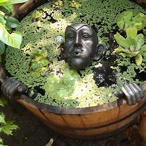 Wasserspeier Gargoyle für Miniteich mit Pumpe 230 Volt braun - Gold als Wasserspiel für die Gartendeko von Storm's Gartenzaubereien