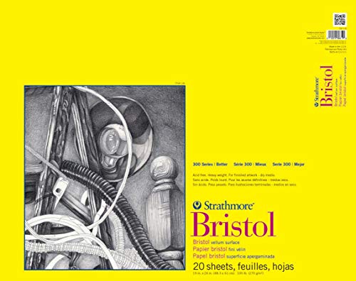 Strathmore 342-119 300 Series Bristol Pergamentpapier, 48,3 x 61 cm, 20 Blatt, Papier, Mit Band gebunden, 19" x 24", stück von Strathmore