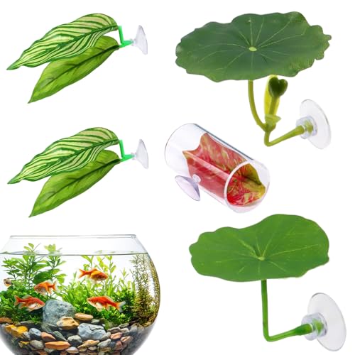 Streysisl Betta Hängematte | Fischlaichplätze, Aquarium-Laichplätze, 5er Set, natürliches Guppy Zuchtbett zur Dekoration von Streysisl