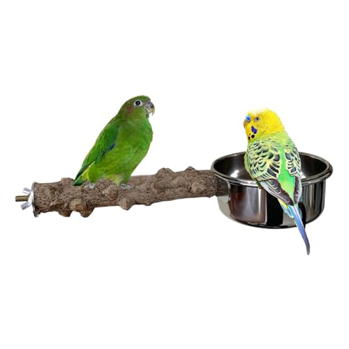 Streysisl Holzstange für Vogelkäfig, Vogelkäfig-Ständer, Haustierzubehör mit Edelstahlbecher für mittelgroße , Nymphensittiche, Wellensittiche, Sittiche Streysisl Holzstange für Vogelkäfig, Vogelkäfig-Ständer, Haustierzubehör mit Edelstahlbecher für mittelgroße , Nymphensittiche, Wellensittiche, Sittiche von Streysisl