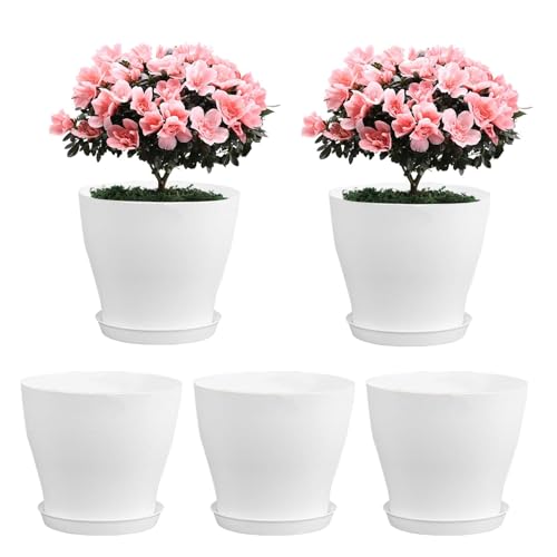 Streysisl Kinderzimmer Blumentopf - 5X Blumenbehälter mit Drainagelöchern - Gartenbehälter mit Tablett Keimtöpfe für Sukkulenten Streysisl Kinderzimmer Blumentopf - 5X Blumenbehälter mit Drainagelöchern - Gartenbehälter mit Tablett Keimtöpfe für Sukkulenten von Streysisl