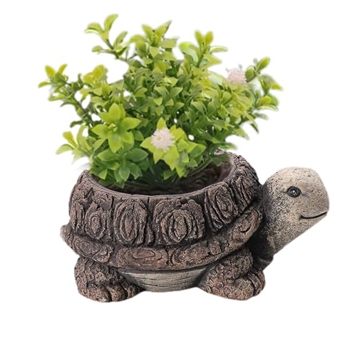 Streysisl Kleine Töpfe | Niedliche Blumentöpfe, Schildkrötenfrosch, Igel, Übertopf – Landschaftspflanzhalter, Bonsai-Pflanzgefäß, Zementgartentöpfe, Blumentopf für Zuhause, Kaffee, Schreibtisch Streysisl Kleine Töpfe | Niedliche Blumentöpfe, Schildkrötenfrosch, Igel, Übertopf – Landschaftspflanzhalter, Bonsai-Pflanzgefäß, Zementgartentöpfe, Blumentopf für Zuhause, Kaffee, Schreibtisch von Streysisl