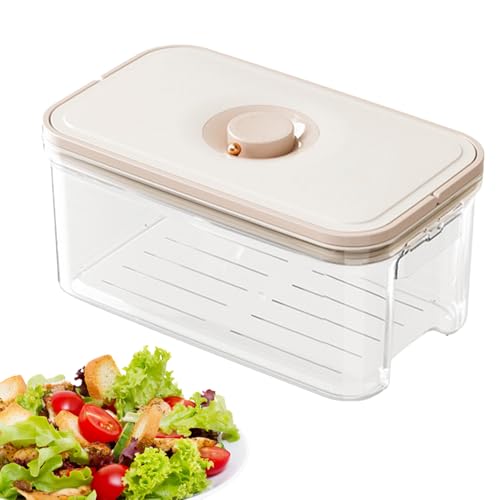 Streysisl Kühlschrank-Obst-Aufbewahrungsbox, transparent, Lebensmittelbehälter, auslaufsicher, für Picknick, Familientreffen, Party, Camping von Streysisl