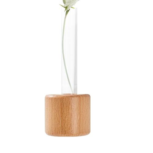 Streysisl Kühlschrankvasen, Magnete, Hydrokultur-Pflanzgefäß, Hydrokultur-Vase, dekorative Blumenvase, Kühlschrank-Magnete, für Wohnzimmer, Kühlschrank Streysisl Kühlschrankvasen, Magnete, Hydrokultur-Pflanzgefäß, Hydrokultur-Vase, dekorative Blumenvase, Kühlschrank-Magnete, für Wohnzimmer, Kühlschrank von Streysisl