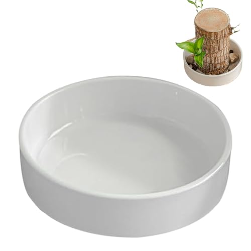 Streysisl Pflanzenhalter aus brasilianischem Holz, dekorativer Pflanzensockel, kleine Untertasse, Tisch-Wasserpflanzenschale für Konferenzraum, Studentenwohnheim, Schlafzimmer, Wohnzimmer, Badezimmer Streysisl Pflanzenhalter aus brasilianischem Holz, dekorativer Pflanzensockel, kleine Untertasse, Tisch-Wasserpflanzenschale für Konferenzraum, Studentenwohnheim, Schlafzimmer, Wohnzimmer, Badezimmer von Streysisl