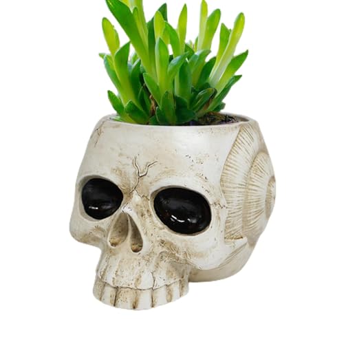 Streysisl Totenkopf-Vase, Kunstharz, leicht zu reinigen, Süßigkeitenschale für Innen- und Außenbereich, Pflanzen und Sukkulenten für Zuhause, Schreibtisch-Dekorationen Streysisl Totenkopf-Vase, Kunstharz, leicht zu reinigen, Süßigkeitenschale für Innen- und Außenbereich, Pflanzen und Sukkulenten für Zuhause, Schreibtisch-Dekorationen von Streysisl