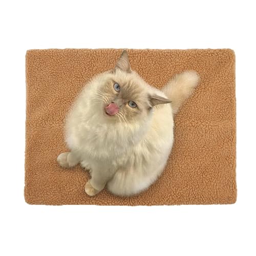 Streysisl Winter-Katzenbett, selbstheizende, rutschfeste Hundedecke, feuchtigkeitsbeständig, multifunktionale Hundedecke, verschleißfeste Plüschmatte zum Schlafen, Nickerchen Streysisl Winter-Katzenbett, selbstheizende, rutschfeste Hundedecke, feuchtigkeitsbeständig, multifunktionale Hundedecke, verschleißfeste Plüschmatte zum Schlafen, Nickerchen von Streysisl