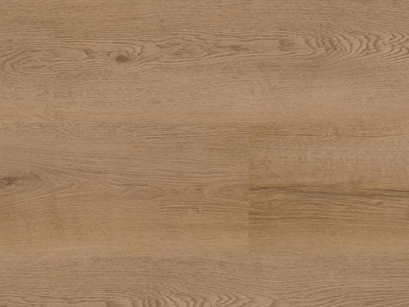 Muster SPC VAR Glacier Oak 280x160 von Strong SPC