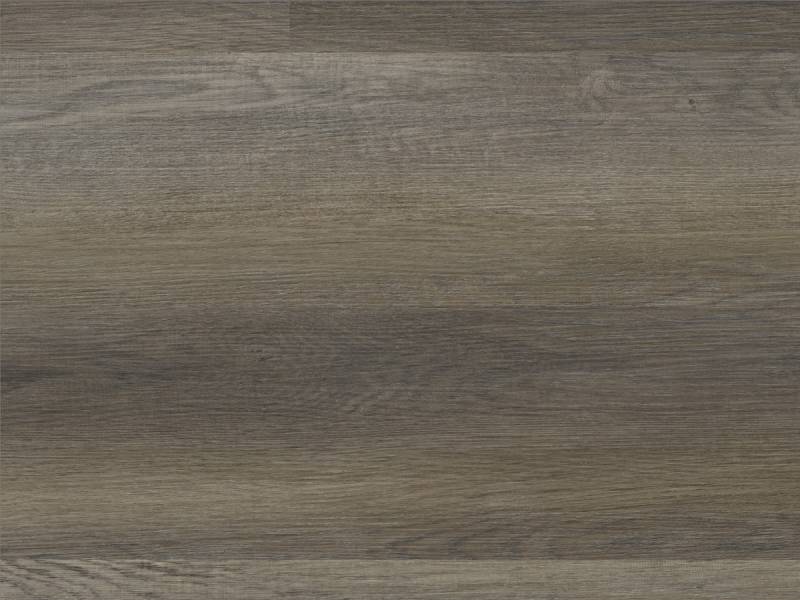 STRONG SPC Multilayer+ Kamptal Klick-Designboden Landhausdielenoptik von Strong SPC