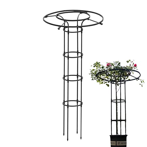 150cm Garten Rankhilfe Metall Ranksäule Für Kletterpflanzen Pflanzen Rankhilfe Blumen Rosen Kletterhilfe Wetterfest Garten Rankgitter Tomatenkäfig Pflanzenstütze Obelisk Für Pflanzen,Tomaten, Rosen von Stronrive