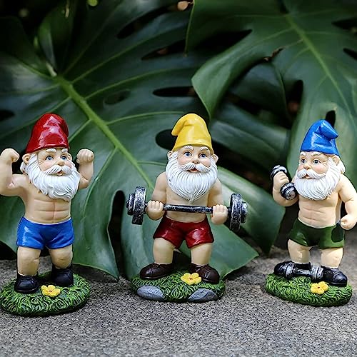 3 Stück Gartenzwerge Für Außen Lustig Gartenzwerge Gartendeko Für Draußen Gnom Lustig Gartenfiguren Gartenzwerge Dekofigur Zwerge Gartendeko Figur Wetterfest Gartenfiguren Dekoration Für Rasen Hof von Stronrive