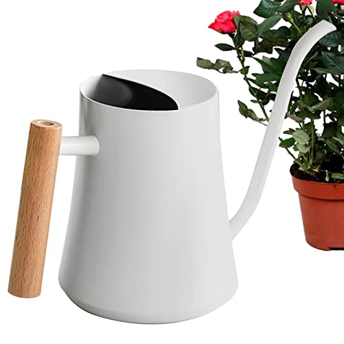 Kleine Giesskanne 1000 Ml Edelstahl Gießkanne Für Zimmerpflanzen Garten Gießkanne Mit Holzgriff Für Zimmerpflanzen Gießkanne Mit Langem Auslauf Gießkanne Für Außenpflanzen, Sukkulenten, Kräutergarten von Stronrive