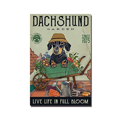 Kreatives Blechschild Dackel Garten Vintage Küchenschilder Wanddekoration Aluminiumschilder für Zuhause Bars Menschen Höhle Retro Blechschild Hof Garten Tür Pest Schild 14 x 20 cm von Strunt