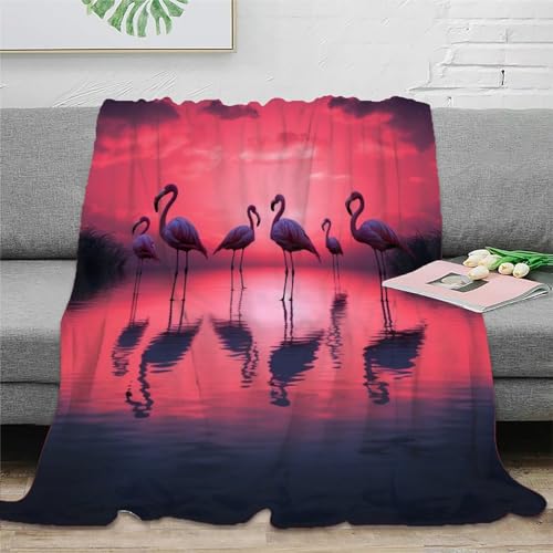 Schöner Flamingo Rosa Flamingo Decke Weiche Und Bequeme Fleece-Decken Sind Leicht Und Weich Und Halten Während Der Jahreszeiten Warm 60x80inch(150x200cm) von Strunt