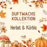 Duftwachs Herbst Und Kürbis Düfte Für Duftlampe Wax Melt Aus Sojawachs Duftwachs Herbst Und Kürbis Düfte Für Duftlampe Wax Melt Aus Sojawachs von Studio4460