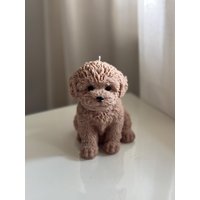 Hundekerze | Hund Kerze Deko Kerzenfigur Tierkerze Süße Vegane Nachhaltige Handgemachte von StudioElamine