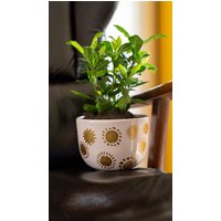 Niedlicher Baby-Rosa Blumentopf Energievolle Handgemalte Vase Mit Sonnenfiguren Innenpflanzer von StudioOrfe
