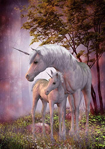 Stukk Magisches Einhorn-Wald-Wandbild, Fantasie-Poster, A1, 594 x 841 mm von Stukk