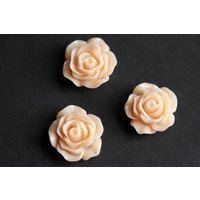 Pfirsich Rosen-Kühlschrank-Magnete. 3Er Set. Blumen-Magnete. Handmade Wohndekor von StumblingOnSainthood