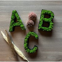Moosbuchstaben Islandmoos Wanddekor Moos Alphabet Schriftzug Firmenlogo von StunningHomeDE