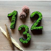 Mooszahlen Islandmoos Wanddekor Moos Zahlen Schriftzug Firmenlogo Mooszahlen Islandmoos Wanddekor Moos Zahlen Schriftzug Firmenlogo von StunningHomeDE