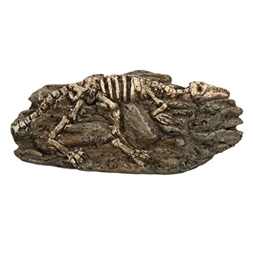 Aquarium Dekoration Baumstamm, Harz Höhle Aquarium Harz Dinosaurier Fossil Ornament Dekor ， Dinosaurier Fossil Aquarium Dekoration Harz Reptil Ornament Aquarium Tier Handwerk für Aquarium Dekor von Stylebest