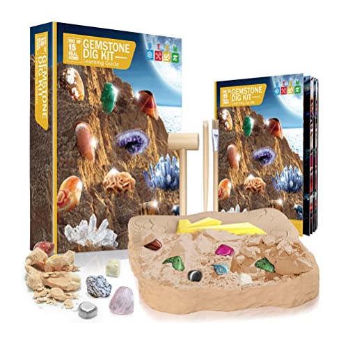 Stylebest Mega -Kit, Mineralien Grabenset, Spielzeuggesteine ​​und Fossilien -DIY -Kit mit 15 Edelsteinen, Geology Stones für Kinder, Rocksammlung von Stylebest