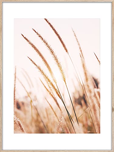 Rahmenbild Grasses 1 | Artbox Wandbild | Bild mit Holz Rahmen Optik Framepic | Weizen Gras Sommer Sonne Natur Feld Wiese Atmosphäre | Wohnzimmer Schlafzimmer Büro | orange weiß braun rosa | 50x70 cm von Styler