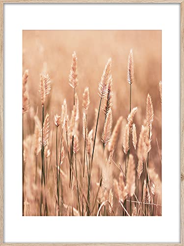 Rahmenbild Grasses 2 | Artbox Wandbild | Bild mit Holz Rahmen Optik Framepic | Weizen Gras Sommer Sonne Natur Feld Wiese Atmosphäre | Wohnzimmer Schlafzimmer Büro | orange weiß braun rosa | 50x70 cm von Styler