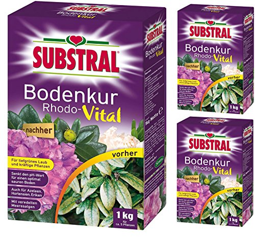 3 x 1 kg Substral Rhodo-Vital Bodenkur, NPK-Dünger 5-4-7,5 von Substral