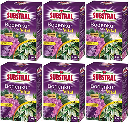 6 x 1 kg Substral Rhodo-Vital Bodenkur, NPK-Dünger 5-4-7,5 von Substral