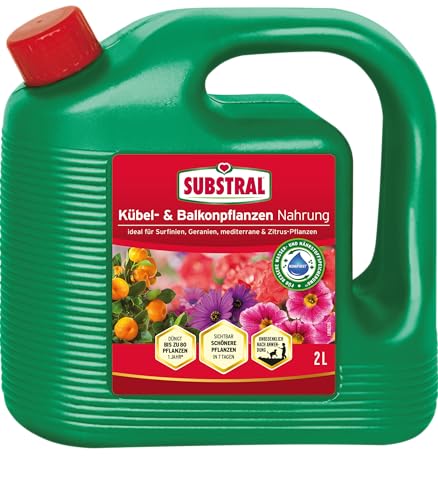 Substral Spezial-Flüssigdünger für Balkon- & Kübelpflanzen, 2L - Langanhaltende Blütenpracht & Gesundes Wachstum, Grün von Substral