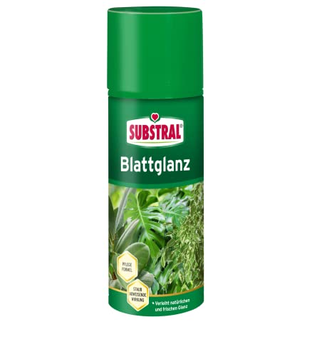 Substral Blattglanz Spray, beseitigs Kalkränder und Staubbeläge, wirkt staubabweisend, für alle Grünpflanzen, 200 ml von Substral