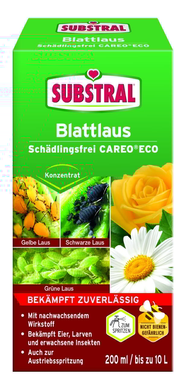 Substral Blattlaus Schädlingsfrei Careo Eco 200 ml von Substral
