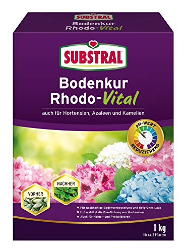 Substral Bodenkur Rhodo-Vital für Rhododendren, Azaleen, Hortensien, Himbeeren, Preiselbeeren, Heidelbeeren, u.a., 1 kg von Substral