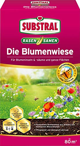 Substral Die Blumenwiese Rasen- & Blumensamen für ein attraktives Bienen- und Nützlingsparadies, 800 g von Substral