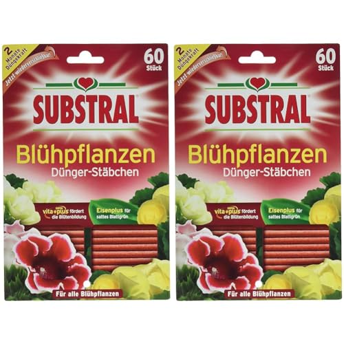 Substral Dünger-Stäbchen für Blühpflanzen mit Eisen-Plus und 2 Monate Langzeitwirkung, 60 Stück (Packung mit 2) von Substral