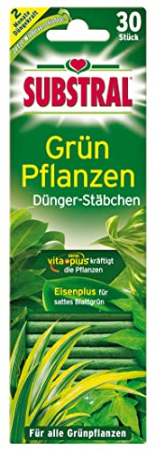 Substral Dünger-Stäbchen für Grünpflanzen mit Eisen-Plus und 2 Monate Langzeitwirkung, 30 Stück von Substral