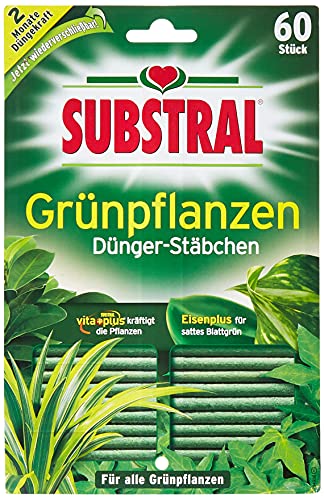 Substral Dünger-Stäbchen für Grünpflanzen mit Eisen-Plus und 2 Monate Langzeitwirkung, 60 Stück von Substral
