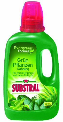 Substral Grün-Pflanzen Nahrung, Spezial-Flüssigdünger mit Eisen-Plus für Grünpflanzen- und Palmen mit wertvollen Nährstoffen und chelatisierten Spurenelementen - 500 ml von Substral