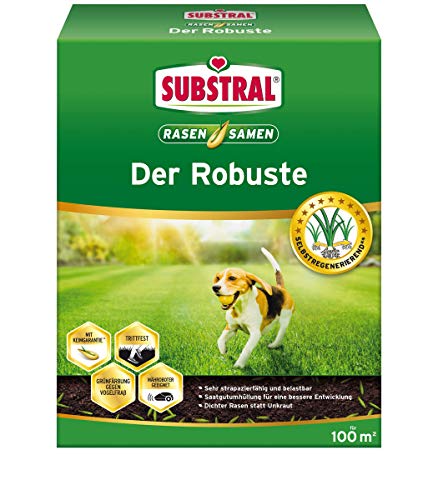 Substral Rasensamen Der Robuste, Sport- und Spielrasen, Einzigartige Strapazierrasen-Mischung, 2 kg für 100 m² von Substral