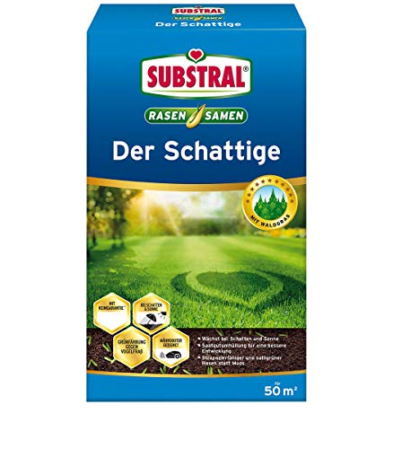 Substral Rasensamen Der Schattige, Schattenrasen, Premium Rasensamen für schattige Stellen, 1 kg für 50 m² von Substral