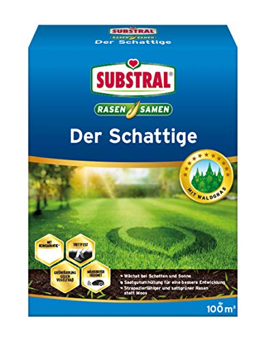 Substral Rasensamen Der Schattige, Schattenrasen, Premium Rasensamen für schattige Stellen, 2 kg für 100 m² von Substral