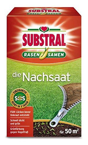 Substral Rasensamen Die Nachsaat, Rasensaat, Schnell keimende strapazierfähige Rasenreparatur-Mischung, 1 kg für 50 m² von Substral