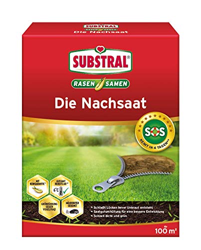 Substral Rasensamen Die Nachsaat, Rasensaat, Schnell keimende strapazierfähige Rasenreparatur-Mischung, 2 kg für 100 m² von Substral