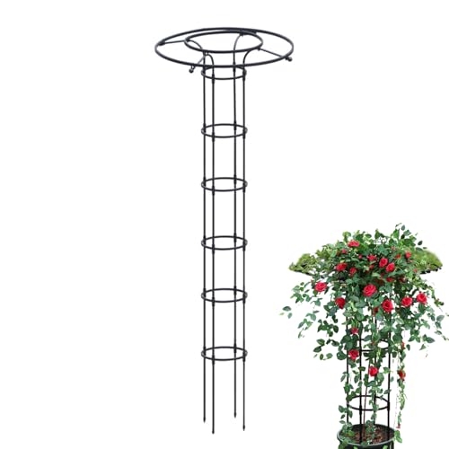 Sucritude Blauregen Schirm Rankhilfe, Garten Rankhilfe Aus Metall, Rankhilfe Für Kletterpflanzen Zimmer, Rosen Kletterhilfe Wetterfest Garten Rankgitter Tomatenkäfig Pflanzenstütze Obelisk Für von Sucritude