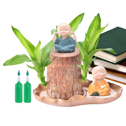 Sucritude Brasilholz Pflanze - Brasilianische Holz Zimmerpflanze,Tischdekoration Mit Figur Für Gastronomie Küche Wartebereich Wohnzimmer Outdoor Terrasse von Sucritude