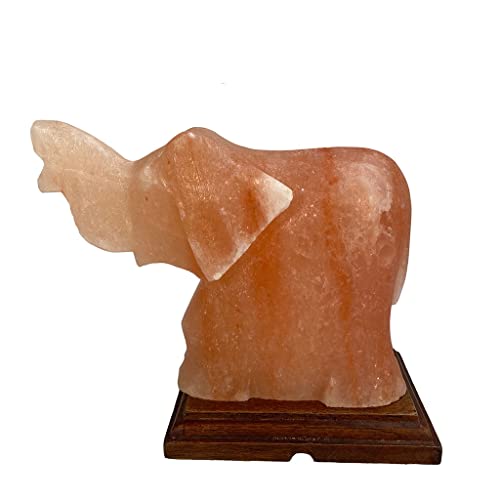 SudoreWell® Salzkristall Lampe Salzlampe 'Elefant' aus der Salt Range Pakistan von SudoreWell