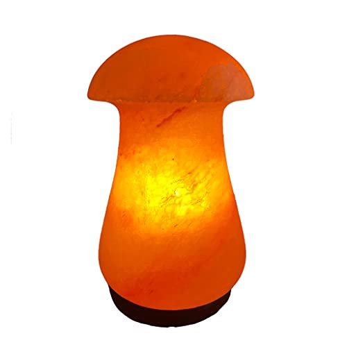 SudoreWell® Salzkristall Lampe Salzlampe Pilz (Mushroom) aus der Salt Range Pakistan by Salzarena von SudoreWell